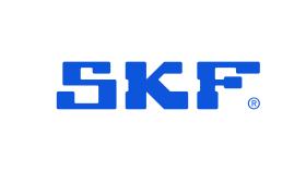 SUBFAMILIA SUB01  Skf
